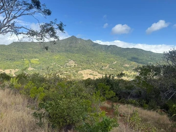 Residential Land