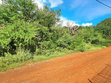 Commercial Land