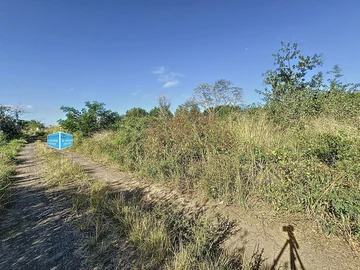 Terrain