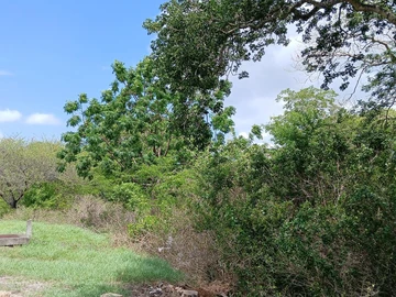Residential Land