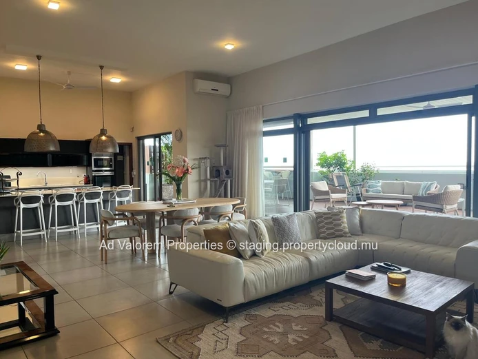 Penthouse for sale in Black River.