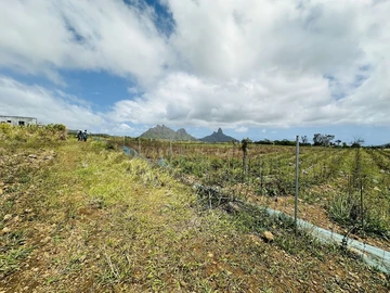 Agricultural Land