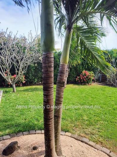 Villa de luxe de 3 chambres à louer à Grand Baie, pour Rps 85 000