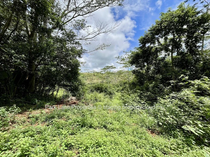 Terrain agricole à Chamarel