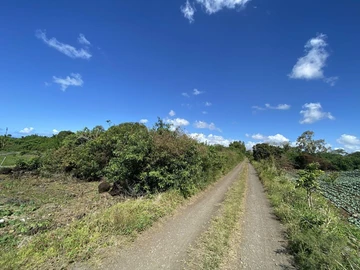 Terrain Agricole