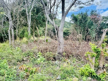 Agricultural Land