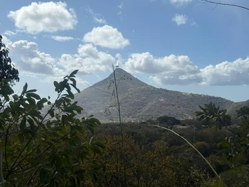 Residential Land
