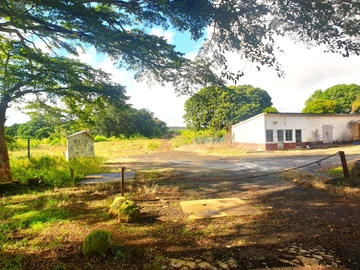 Land
