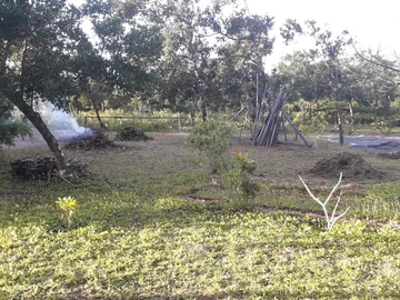 Agricultural Land