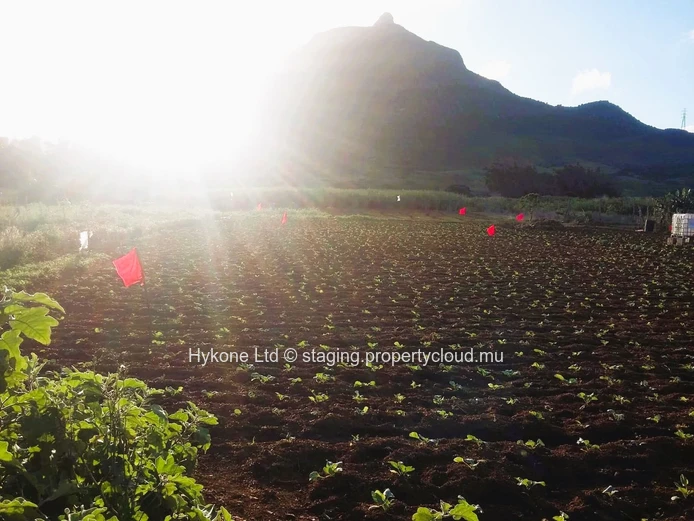 Agricultural Land For Sale At L'Avenir, St Pierre
