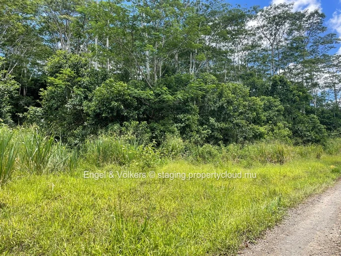 For Sale - Agricultural land in Chamarel