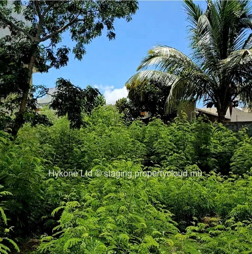 Residential Land For Sale In Flic en Flac