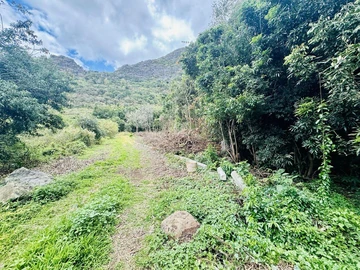 Agricultural Land