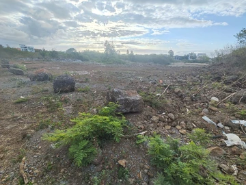 Residential Land
