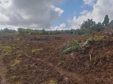Terrain Agricole