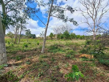Land