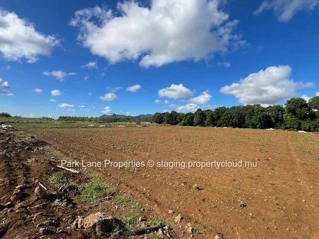 Opportunité d'Investissement d'exception : Terrain agricole stratégiquement situé à Valentina.