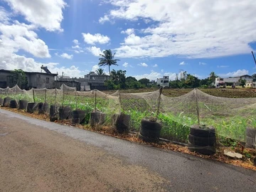Land