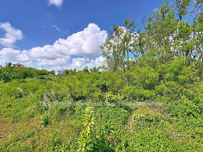 Invest in the future: Agricultural land with approved project (Sole Mandate)