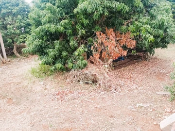 Residential Land