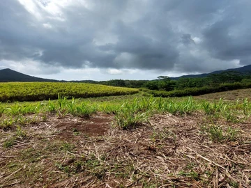 Agricultural Land