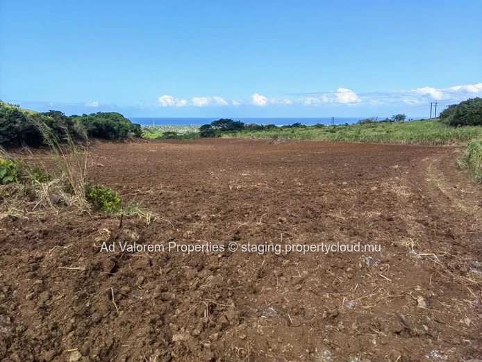 Grand Terrain Agricole à Vendre – Martinière, Surinam – Vue Panoramique & Cadre Naturel