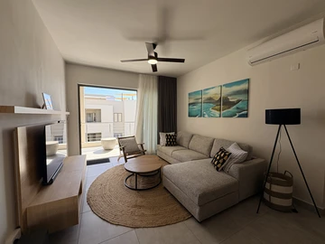 3 Bedroom Apartment
