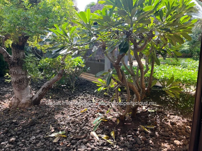 Villa Meublée de Plain-Pied avec Piscine Privée à vendre | Tamarina Golf Resort, Île Maurice