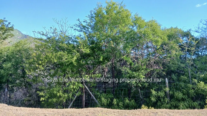 Prime Land in Tamarin Area with Mountain Views - Build Your Dream Home 