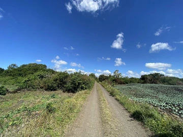 Terrain Agricole