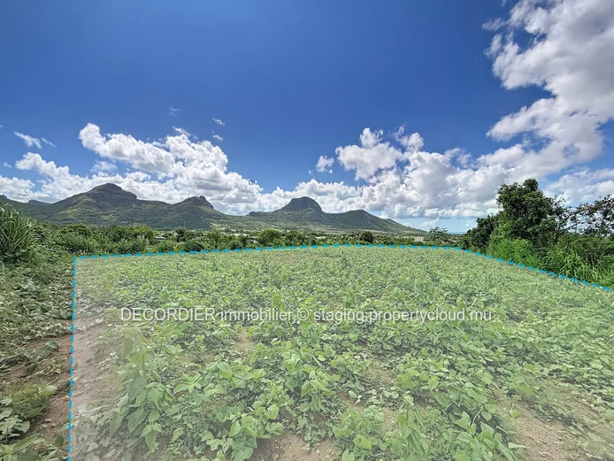 Rare on the market – Spacious agricultural land