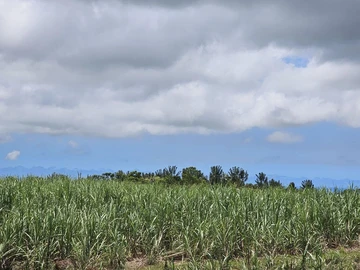 Agricultural Land