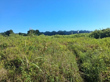 Terrain Agricole
