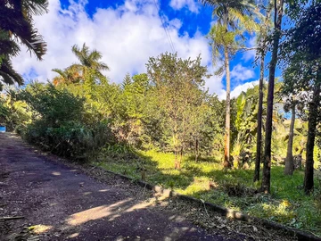 Residential Land