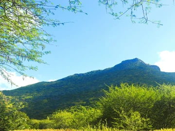 Residential Land