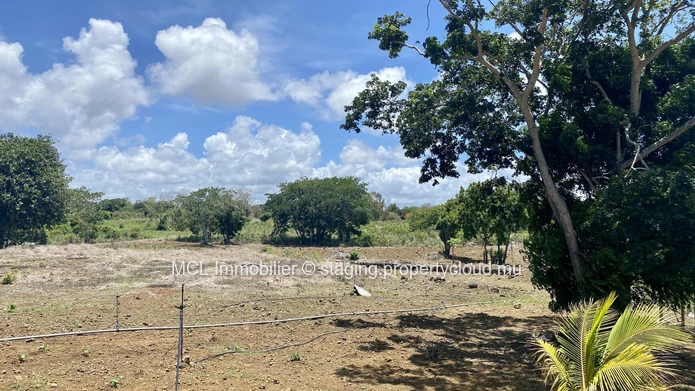 Agricultural land 6,234m2 in St Antoine