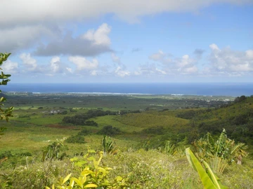 Agricultural Land