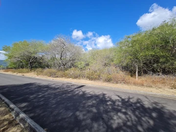 Residential Land