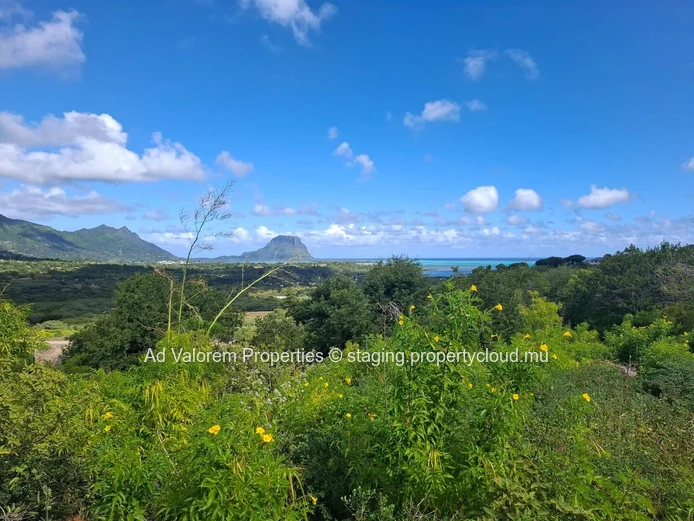 À Vendre – Terrain d’Exception de 4 431 m² à Petite Rivière Noire