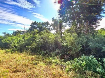 Commercial Land