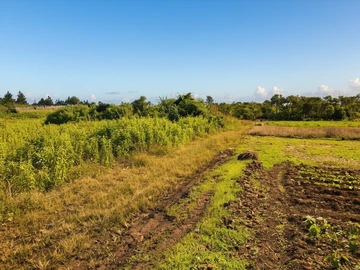 Terrain Agricole