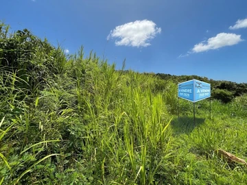 Terrain