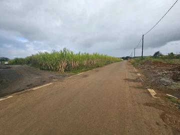 Terrain