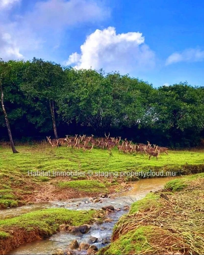 A VENDRE - OPPORTUNITE A SAISIR !!! Magnifique terrain de 83 toises bénéficiant d'une vue exceptionnelle sur la monta...