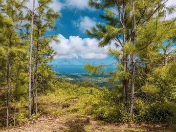 Residential Land