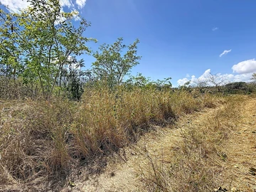 Terrain