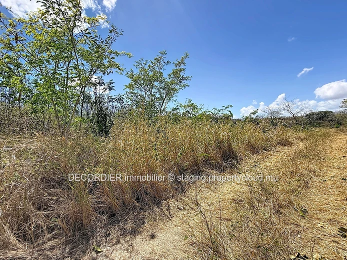 À vendre – Terrain agricole à Grand Baie, La Salette