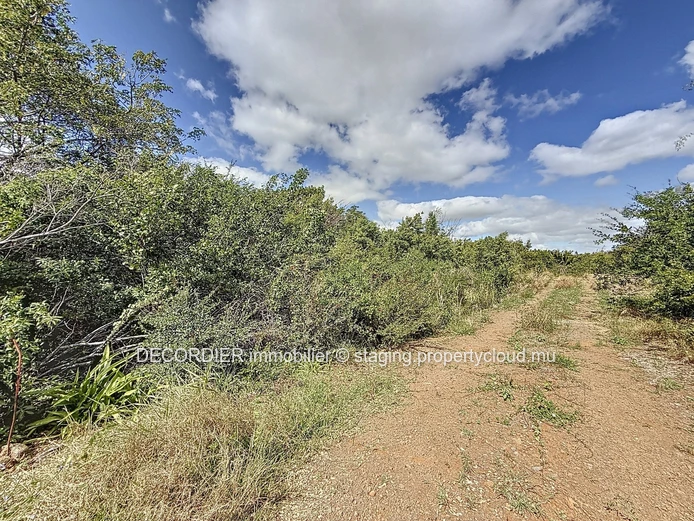 Land for sale – Pereybere
