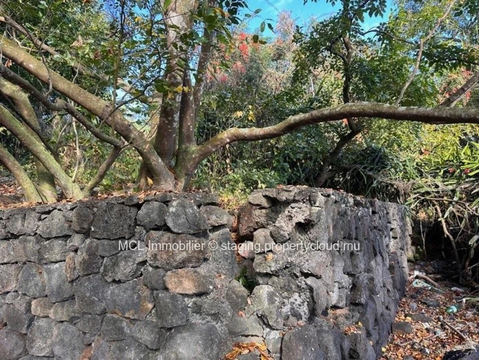 Rare Freehold Beachfront Land 