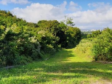 Residential Land